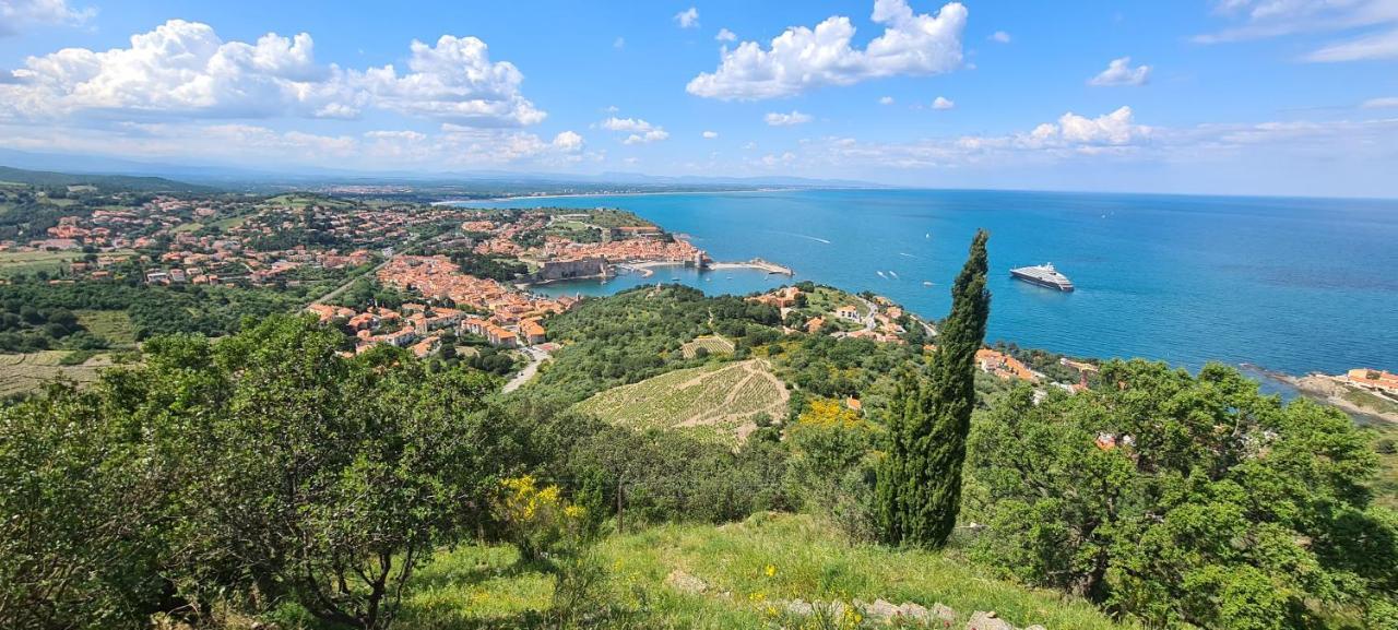 Hotel Le Maritime Argeles-sur-Mer Luaran gambar